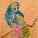 Turquoise and lime green parrot