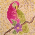 Raspberry and lime parrot